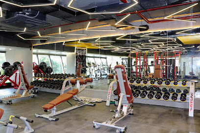 Fitness Yard - Gym/Fitness Center/Crossfit - 1st floor, C21 Business Park Radisson Square, Madhya Pradesh 452010, India