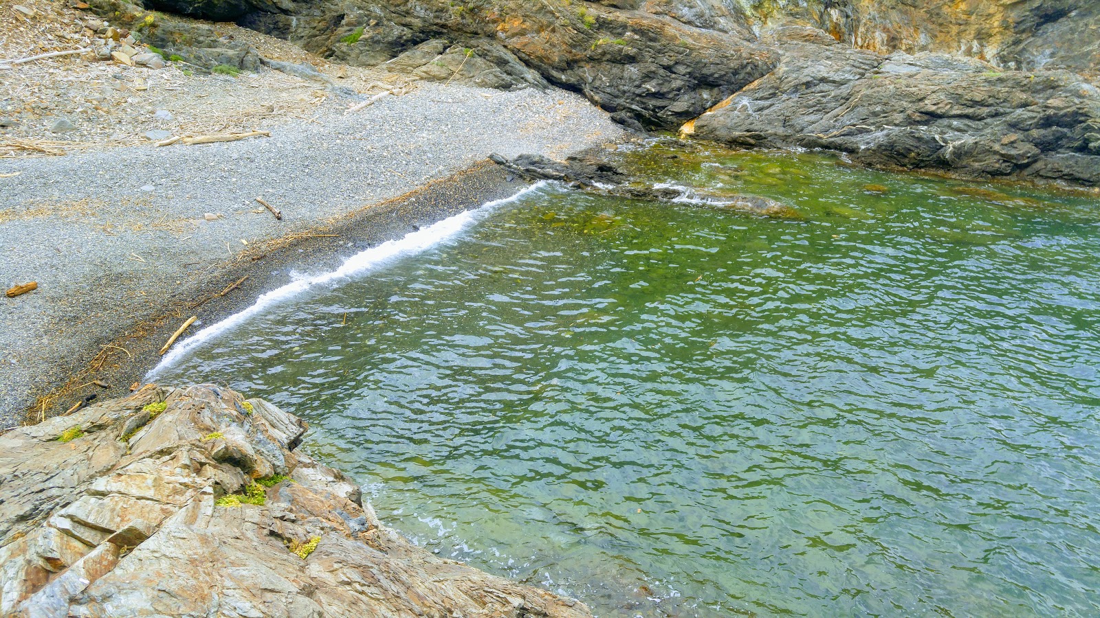 Cap Canadel beach的照片 带有岩石覆盖表面
