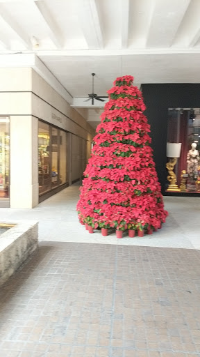 Clothing Store «Neiman Marcus», reviews and photos, 9700 Collins Ave, Bal Harbour, FL 33154, USA