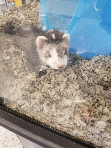 Pet Supply Store «Petco Animal Supplies», reviews and photos, 8100 W Crestline Ave d, Littleton, CO 80123, USA