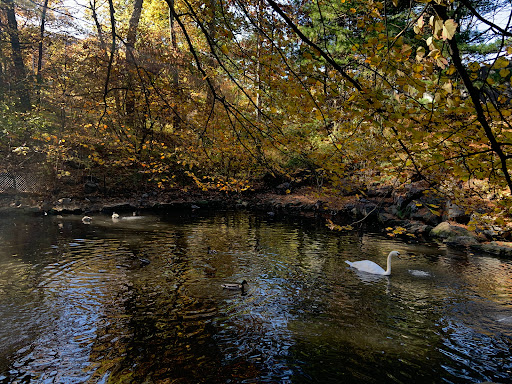 Fortress «Fort Montgomery», reviews and photos, 690 US-9W, Fort Montgomery, NY 10922, USA