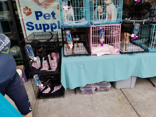 Pet Supply Store «Yummy Tummy Pet Supply», reviews and photos, 27149 185th Ave SE, Covington, WA 98042, USA