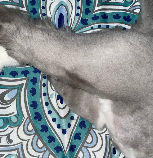 Pet Supply Store «Petco Animal Supplies», reviews and photos, 10 Sylvan St, Peabody, MA 01960, USA