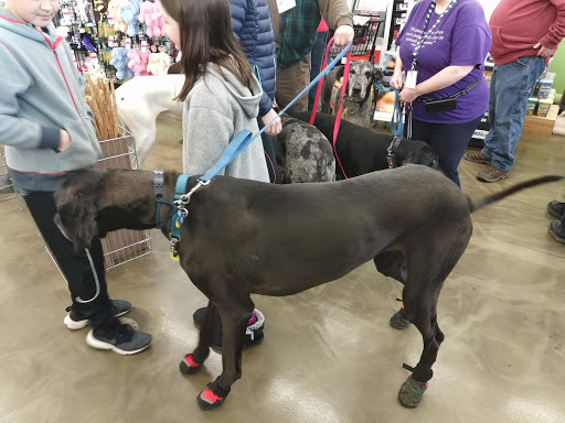 Pet Supply Store «Pet Supplies Plus», reviews and photos, 1970 Portage Trail, Cuyahoga Falls, OH 44223, USA