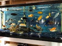 Fish City Pets - Photo 4 - Car repair in Barberton, OH, Akron