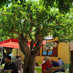 Photo n°1 de l'avis de Ugo.a fait le 10/06/2021 à 13:45 sur le  Albergo Ristorante Birra al Pozzo à Acqualagna