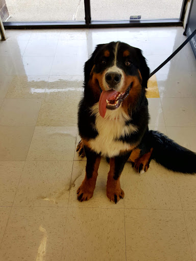 Pet Supply Store «Pet Supplies Plus», reviews and photos, 1665 VFW Pkwy, West Roxbury, MA 02132, USA