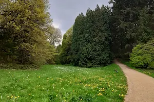 Arboretum Tervuren image