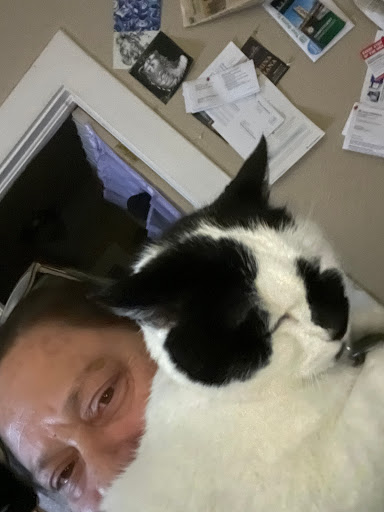 Petco image