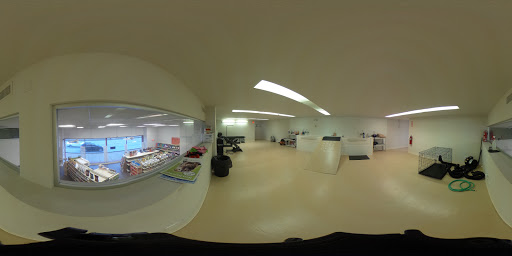 Pet Boarding Service «The Dog Stop Plus», reviews and photos, 2640 Carnegie Ave, Cleveland, OH 44115, USA