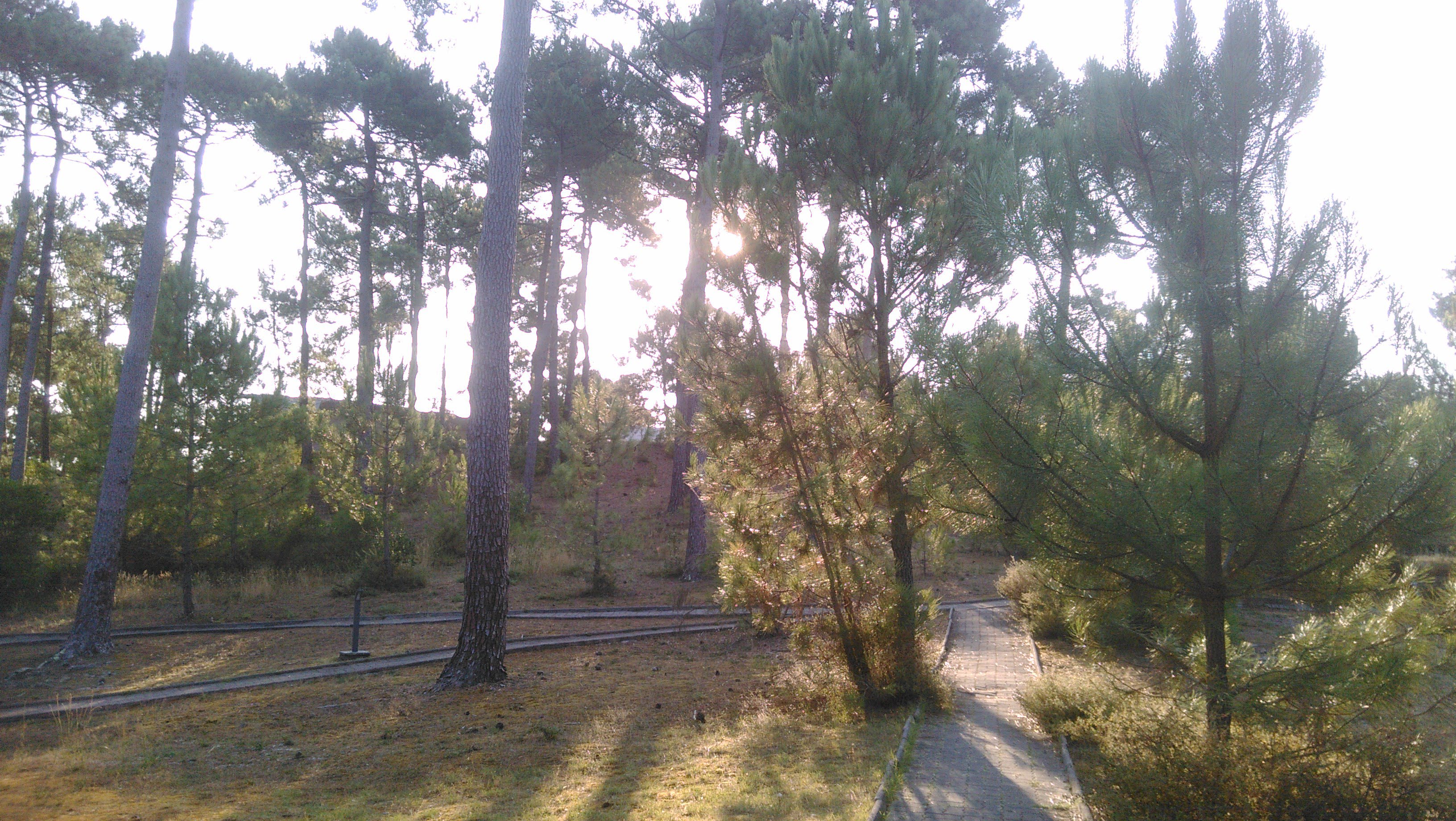 Photo n° 2 de l'avis de N.u fait le 27/08/2018 à 05:15
