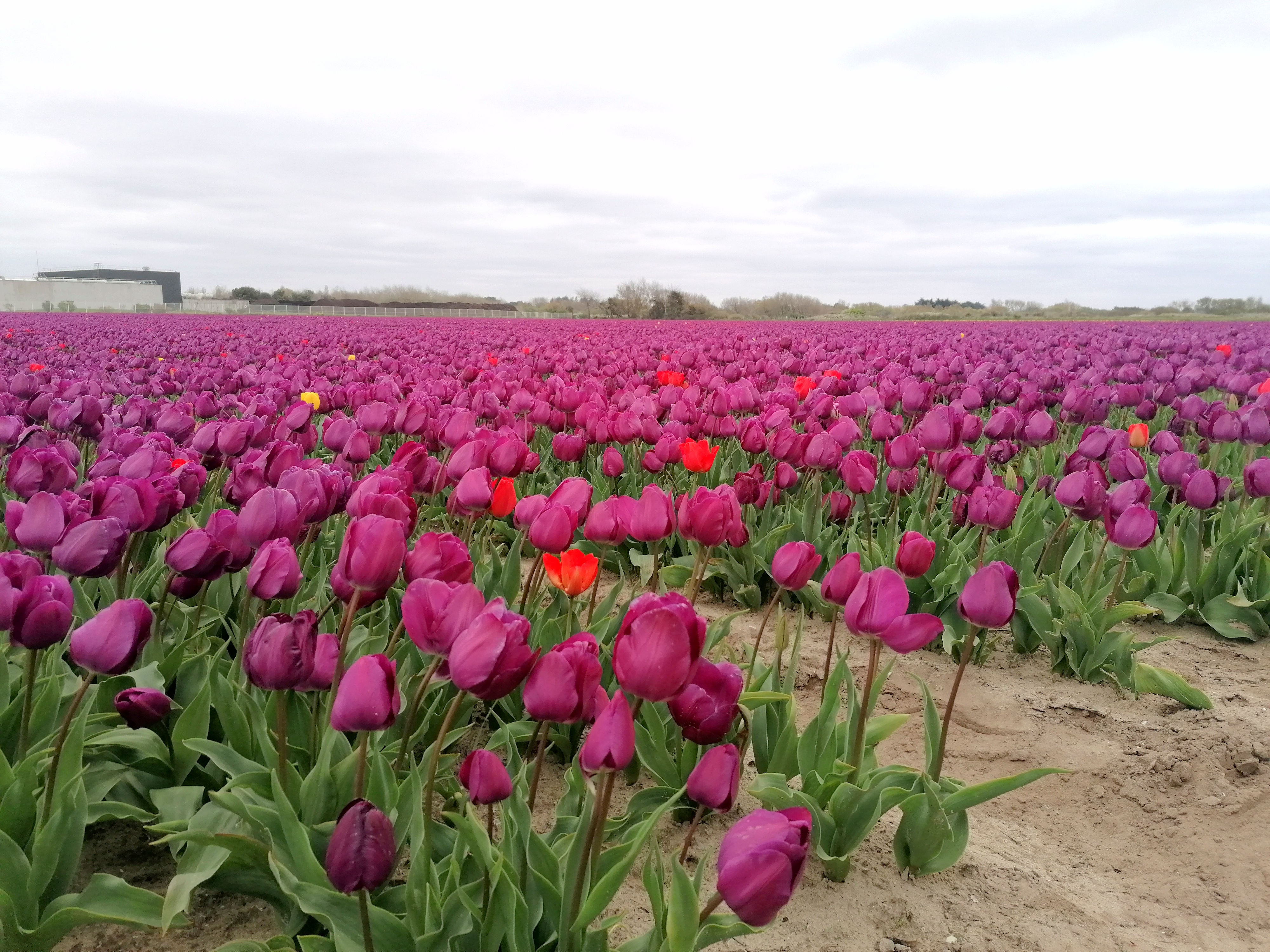 Photo n° 1 de l'avis de Mathieu.a fait le 14/04/2021 à 12:14