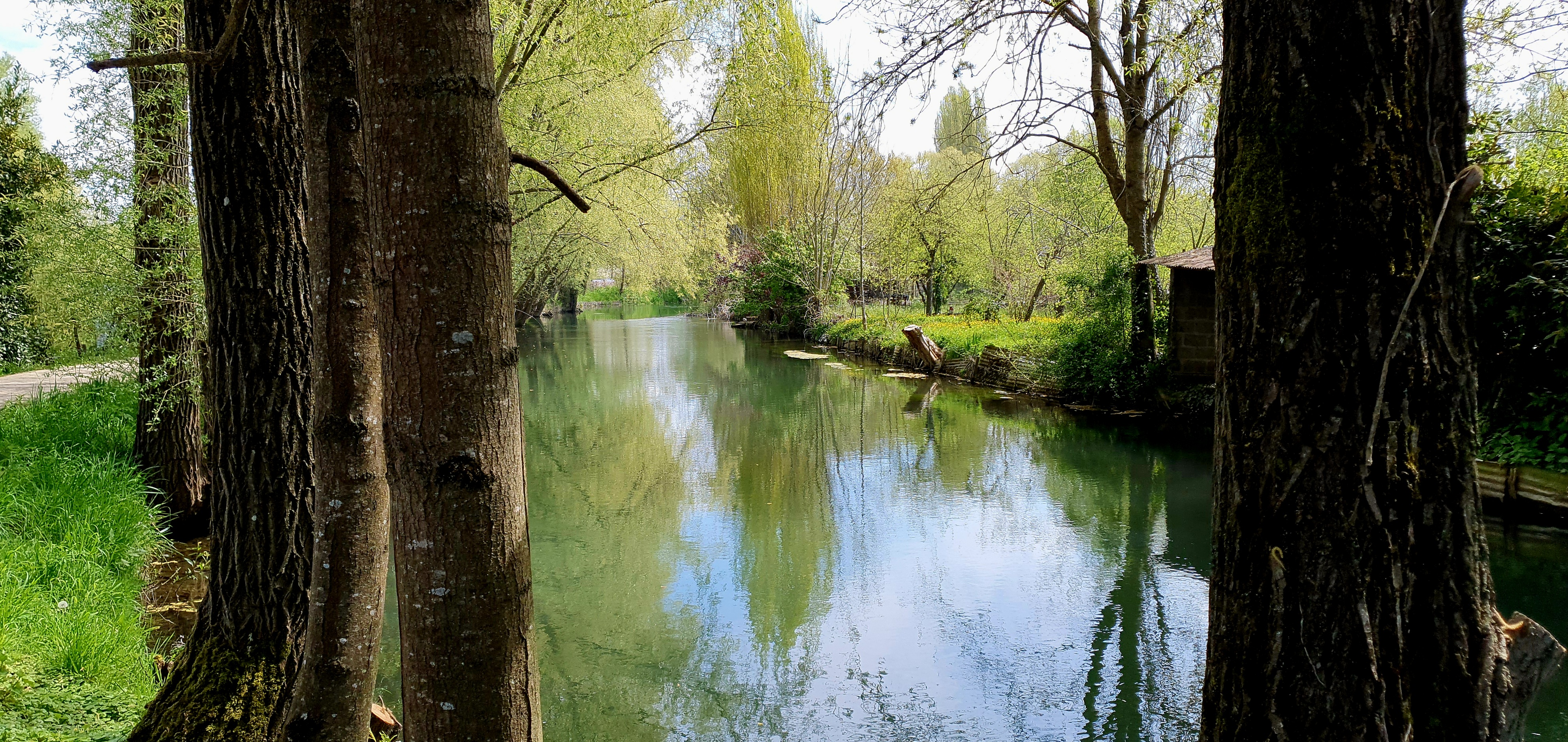 Photo n° 18 de l'avis de CRISTOBALDIA.a fait le 21/04/2023 à 18:49