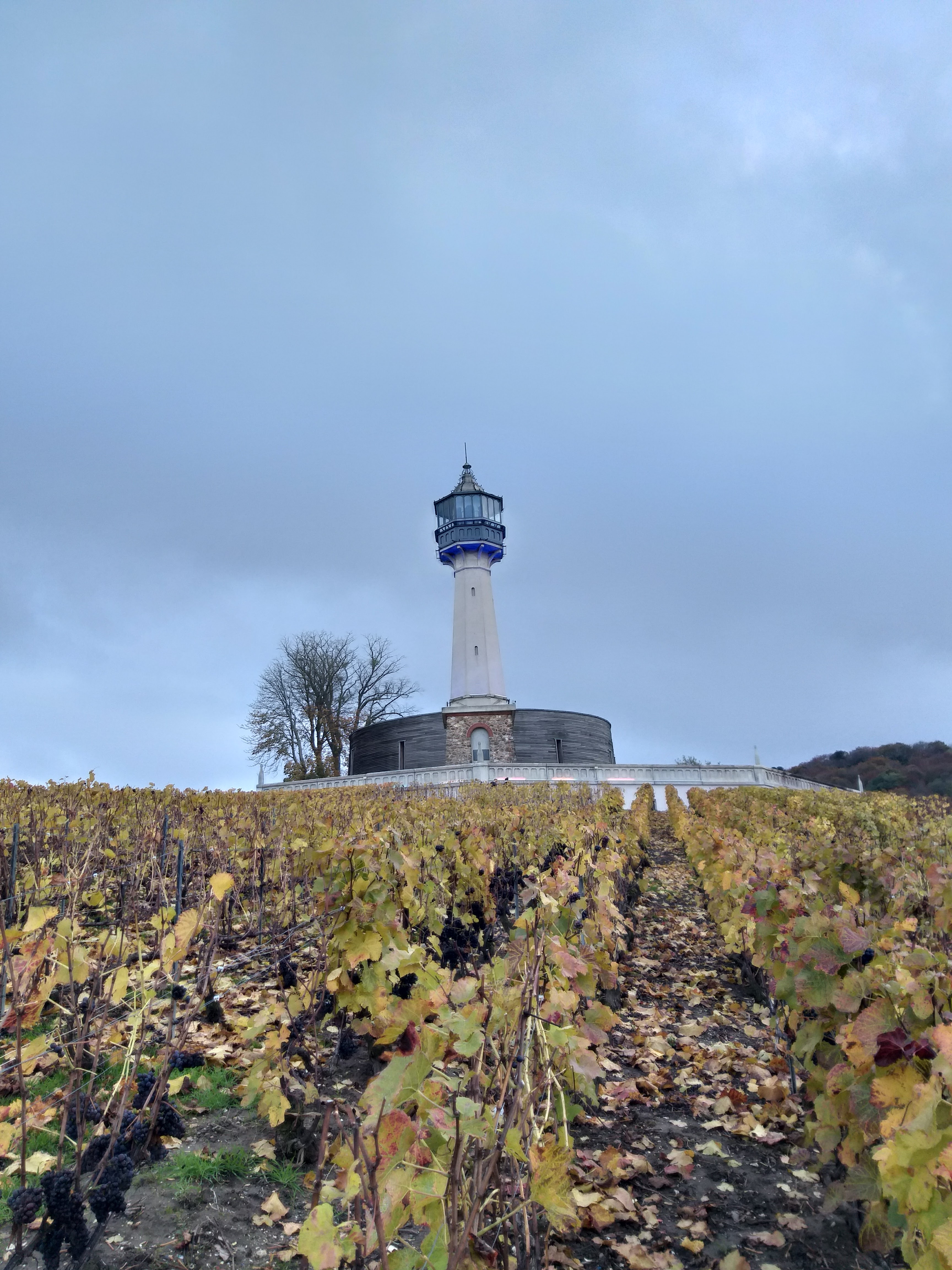 Photo n° 2 de l'avis de Elodie. fait le 23/11/2019 à 20:54