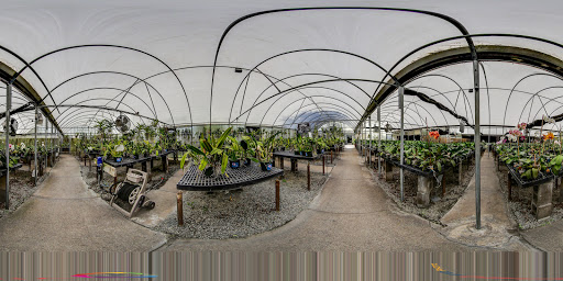 Florist «Dr Delphinium Flower & Orchid House», reviews and photos, 513 W Campbell Rd, Richardson, TX 75080, USA