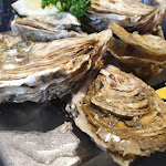 Photo n° 5 de l'avis de zingarelli.r fait le 04/12/2023 à 18:01 pour La Maison de l’Éclusier à Les Moutiers-en-Retz