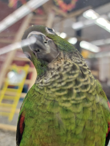 Pet Supply Store «Petco Animal Supplies», reviews and photos, 6181 Old Dobbin Ln #800, Columbia, MD 21045, USA