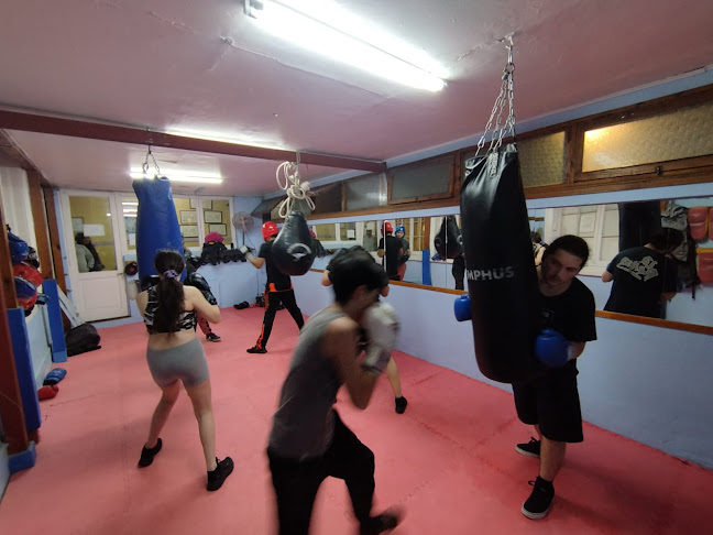 Opiniones de Salinas Dojo Academia de Karate en La Serena - Escuela