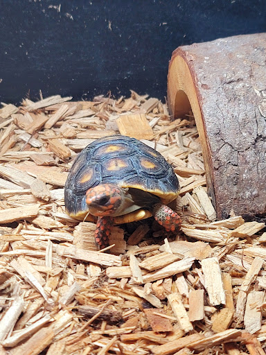 Sand Bar Pet Shop image