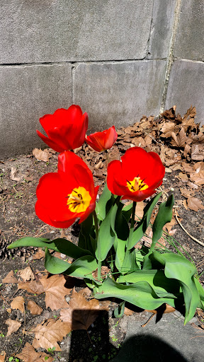 National Park «Roger Williams National Memorial», reviews and photos, 282 N Main St, Providence, RI 02903, USA