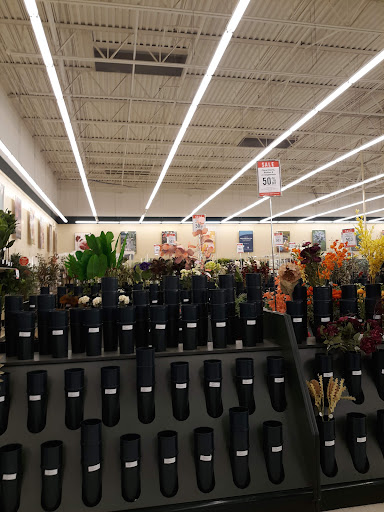 Craft Store «Hobby Lobby», reviews and photos, 2782 E 79th Ave, Merrillville, IN 46410, USA