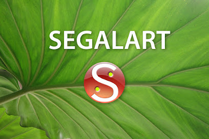 SEGALART - Agence Web