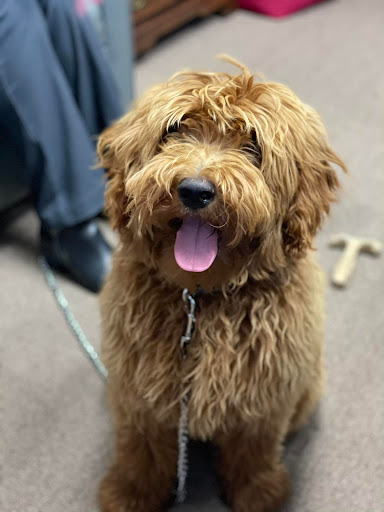 Nissan Dealer «Pat Peck Nissan - Gulfport», reviews and photos, 9480 US 49, Gulfport, MS 39503, USA