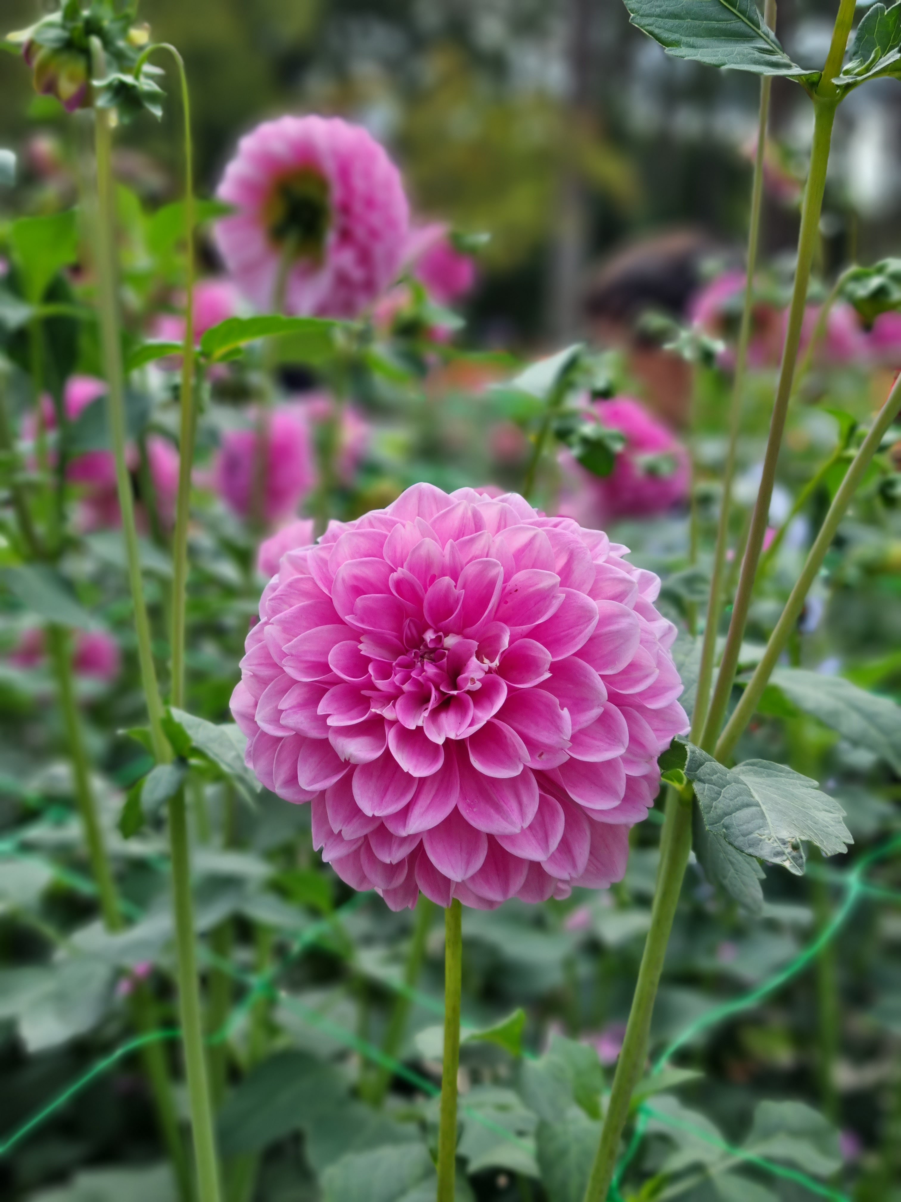 Photo n° 3 de l'avis de Nafisa.o fait le 17/11/2019 à 11:39