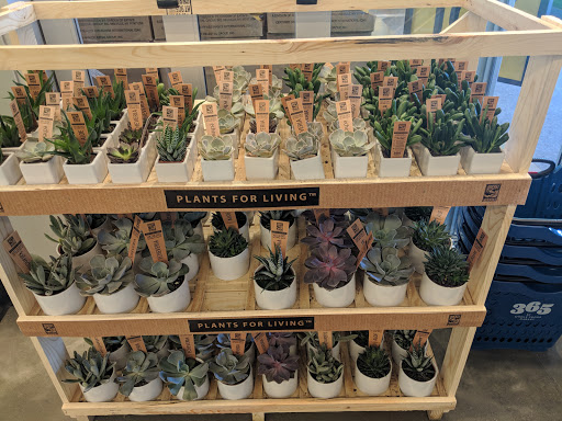 Starbucks image