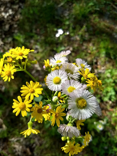 State Park «Natchez Trace State Park», reviews and photos, 24845 Natchez Trace Rd, Wildersville, TN 38388, USA