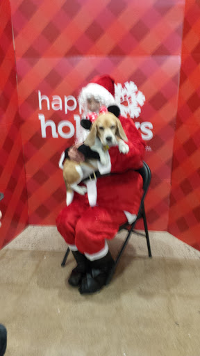 Pet Supply Store «Petco Animal Supplies», reviews and photos, 339 Pompton Ave, Verona, NJ 07044, USA