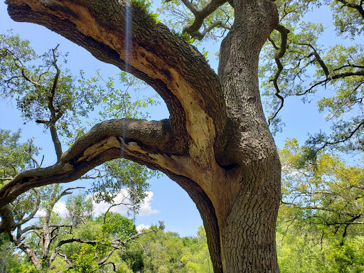 Community Center «University Area Community Center», reviews and photos, 14013 N 22nd St, Tampa, FL 33613, USA