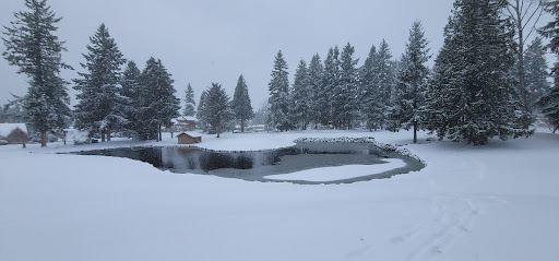 Golf «Tapps Island Golf Course», reviews and photos, 20818 Island Pkwy E, Lake Tapps, WA 98391, USA