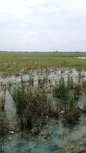 Taman tanjung rasa