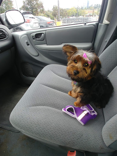 Pet Supply Store «Petco Animal Supplies», reviews and photos, 4011 Durham-Chapel Hill Blvd, Durham, NC 27707, USA