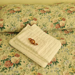 Photo n°2 de l'avis de Cristiana.a fait le 07/01/2024 à 20:23 sur le  Hotel Il Castello à Assisi