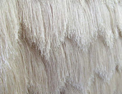 Dry Cleaner «Berkland Cleaners», reviews and photos, 2979 Sacramento St, Berkeley, CA 94702, USA