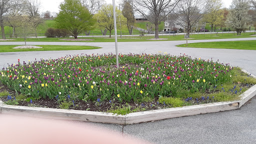 Dog Park «Thomas Bull Memorial Park», reviews and photos, 211 New York 416, Montgomery, NY 12549, USA