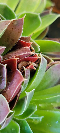 Home Improvement Store «The Home Depot», reviews and photos, 1510 Ring Rd, Elizabethtown, KY 42701, USA