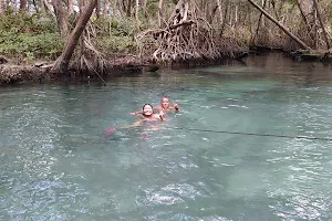 Ojo de Agua Baldiosera image