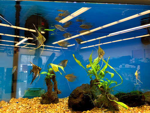 Pet Supply Store «Petco Animal Supplies», reviews and photos, 390 Universal Dr N, North Haven, CT 06473, USA