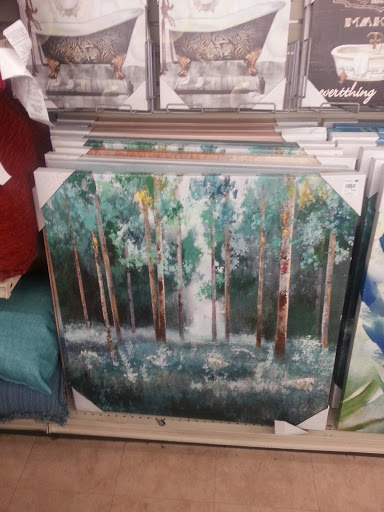 Home Goods Store «Christmas Tree Shops», reviews and photos, 327 Mt Hope Ave, Rockaway, NJ 07866, USA