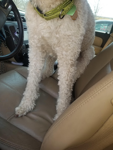 Pet Supply Store «Pet Supplies Plus», reviews and photos, 2649 E Grand River Ave, Howell, MI 48843, USA