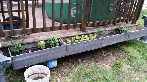 Public Golf Course «Wicomico Shores Golf Course», reviews and photos, 35794 Aviation Yacht Club Rd, Mechanicsville, MD 20659, USA