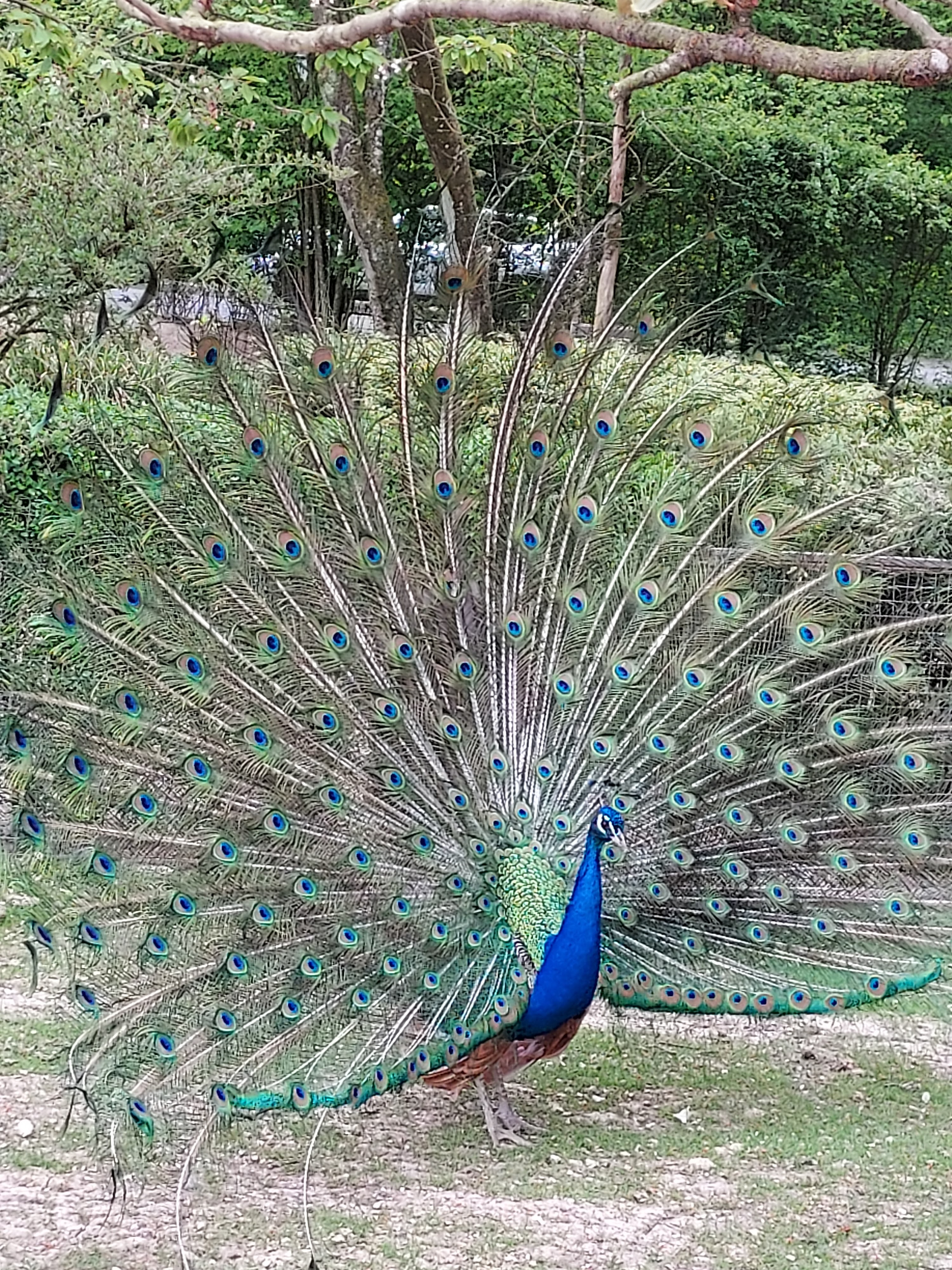 Photo n° 4 de l'avis de Annick.u fait le 01/05/2022 à 20:22