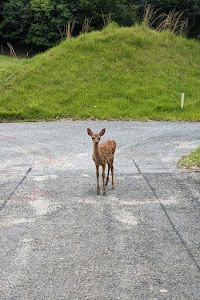 上石津ゴルフ倶楽部
