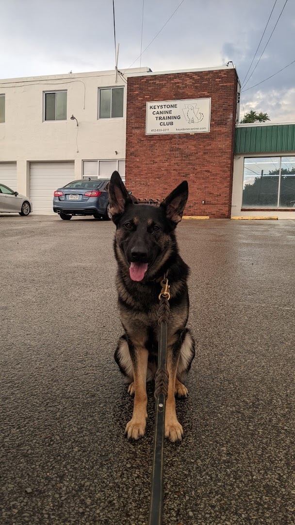 Keystone Canine Club