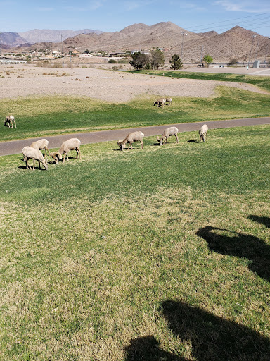 Non-Profit Organization «St. Judes Ranch for Children», reviews and photos