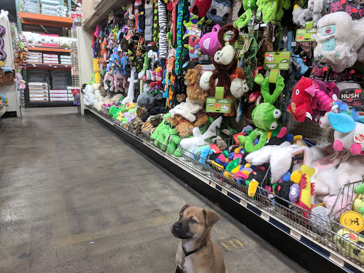 Pet Store «Pet Pals Discount Pet Foods & Supplies», reviews and photos, 3660 Soquel Dr, Soquel, CA 95073, USA