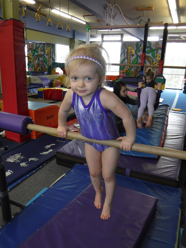 Gymnastics Center «The Jungle Gym», reviews and photos, 15220 2nd Ave SW, Burien, WA 98166, USA